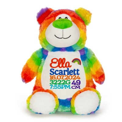 rainbow baby teddy