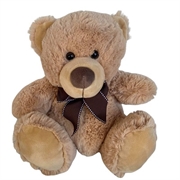 Teddy+bear+personalised+beige