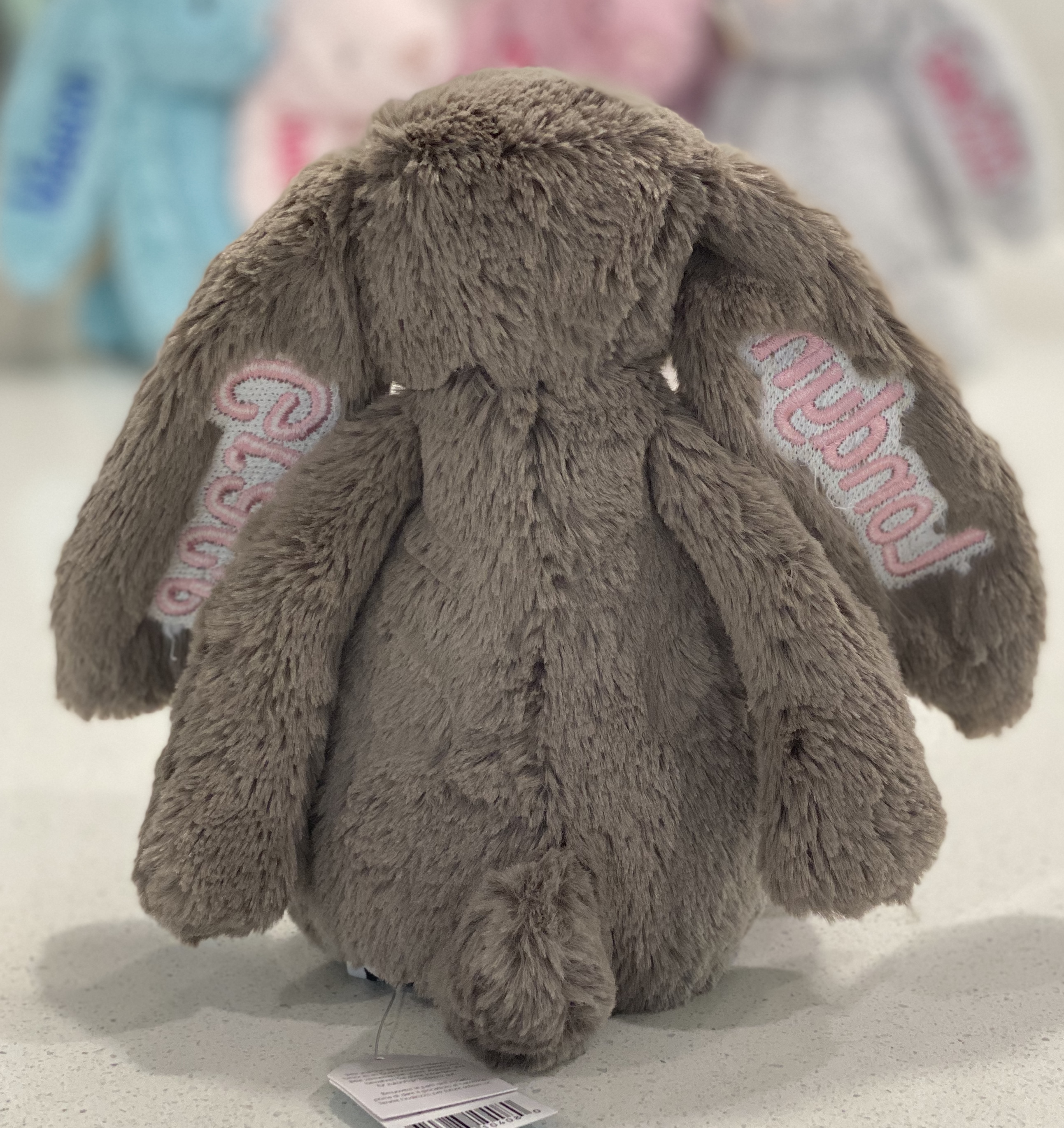 bashful truffle bunny