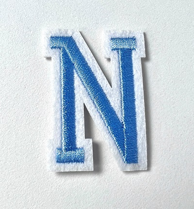 Letter Decal - Blue N