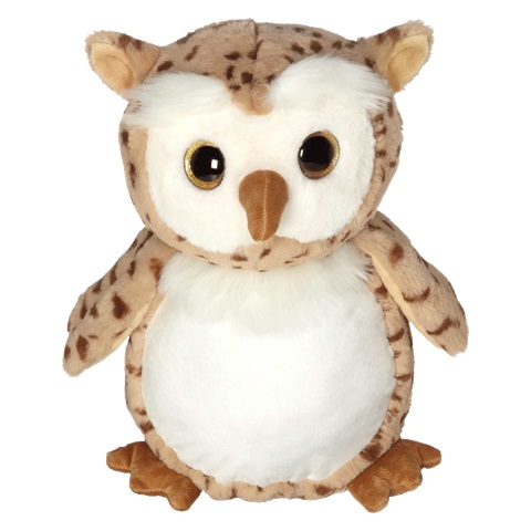 Owl buddy