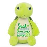 This+is+a+image+of+a+personalised+turtle+teddy+from+My+Teddy