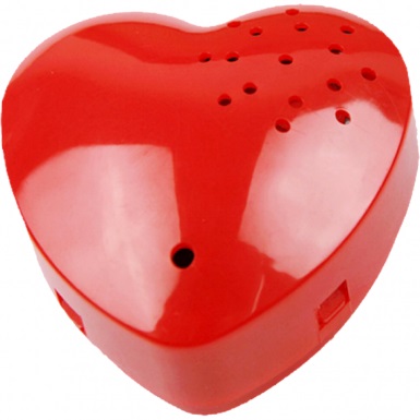 voice recorder heart shaped