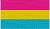 Pansexual Flag