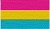 Pansexual Flag