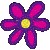 Flower4